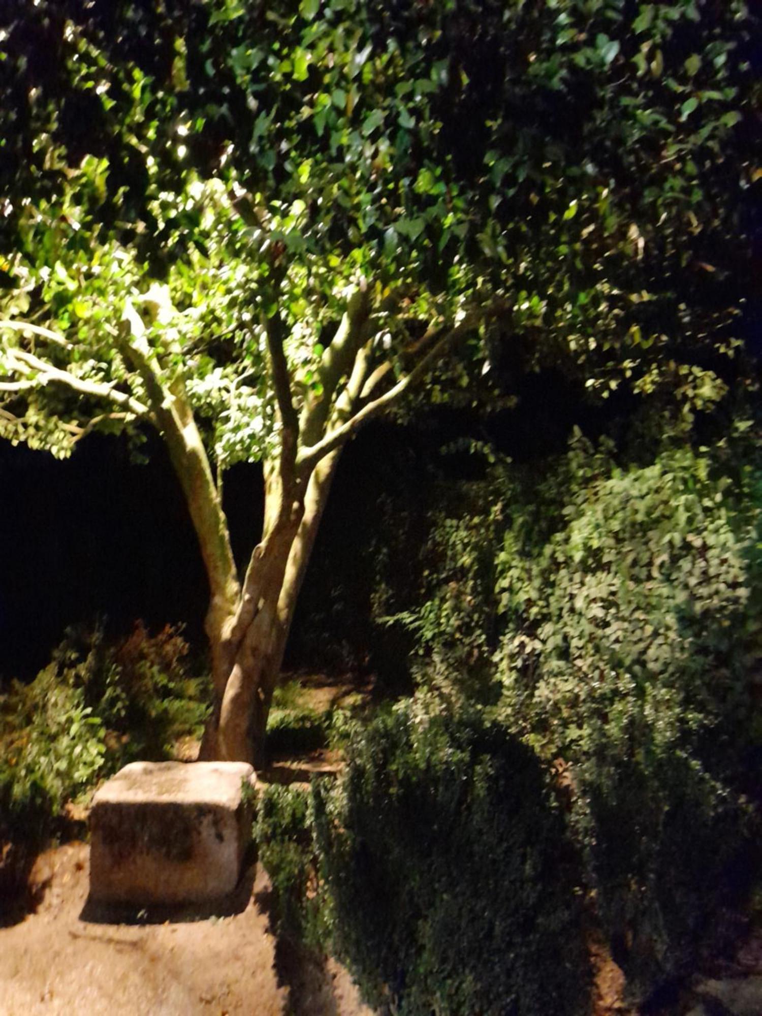 Quinta Da Mainha - Charming Houses - Escape To Nature Braga Exterior photo